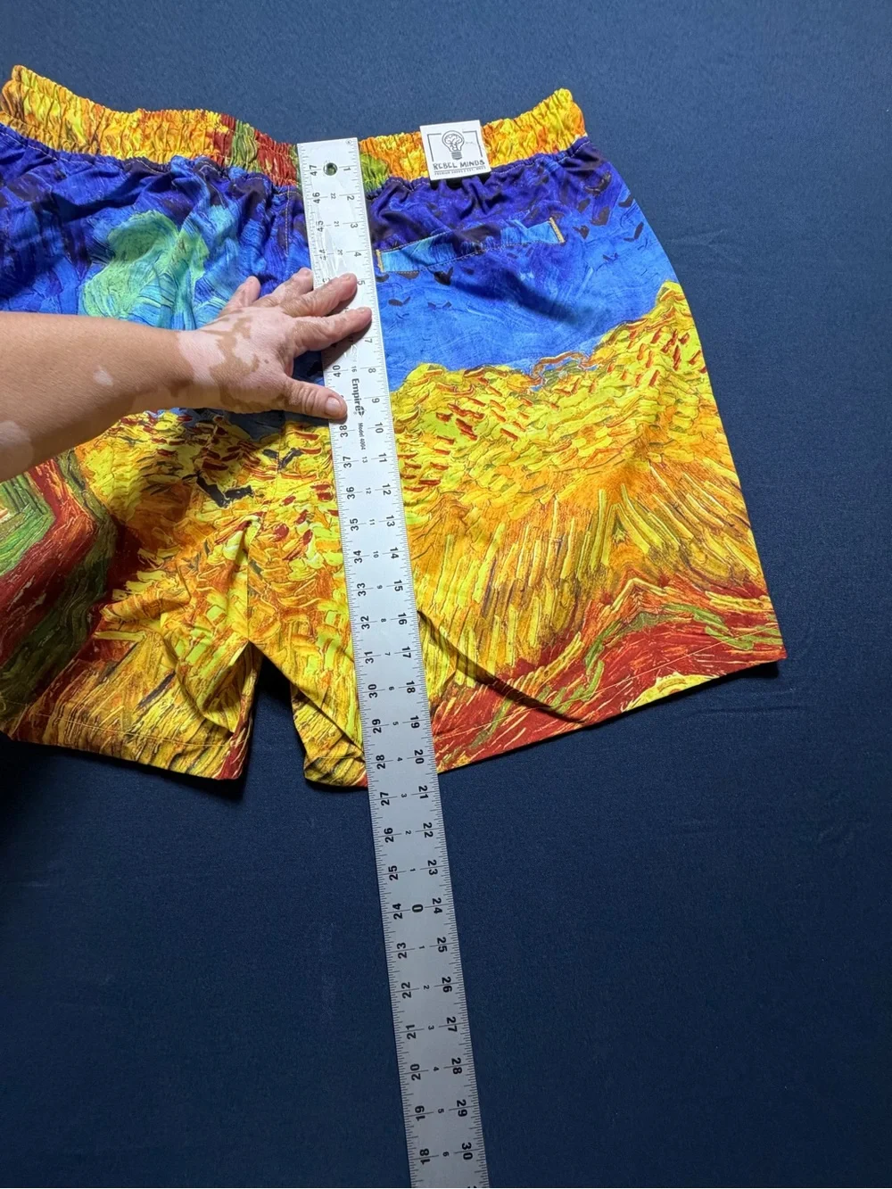 NWT Polyester 3XL Rebel Minds Van Gogh Artwork Print Swim Trunks Shorts